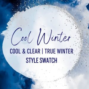 Style Swatch | Cool/True Winter | Cool & Clear