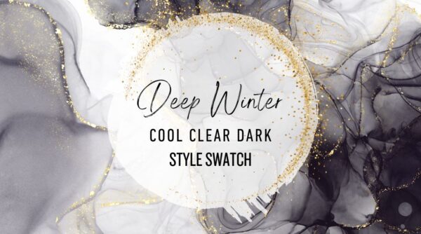 Style Swatch | Deep Winter | Cool Clear Dark
